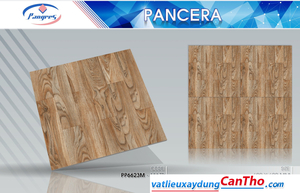 Pancera PP 6623